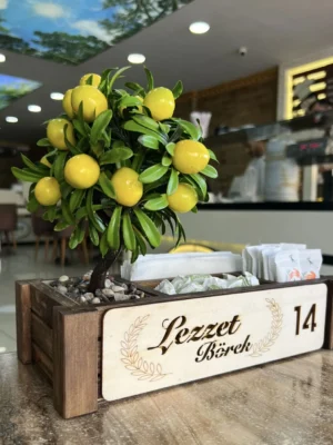 Çiçekli Menaj Takımı 1043